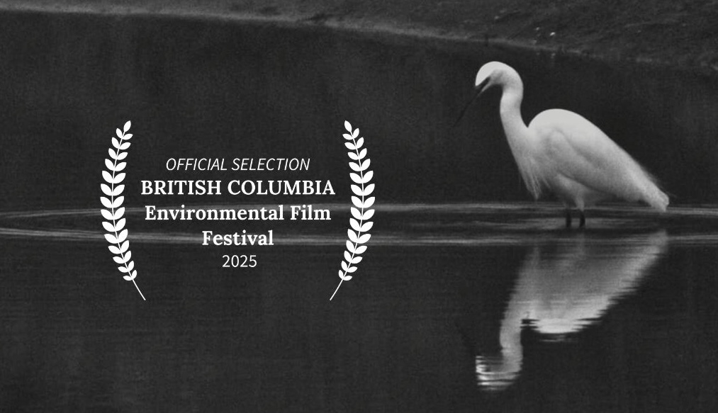 Eîdòn al British Columbia Environmental Film Festival&nbsp;2025